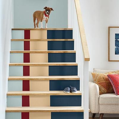 Discover Nature-Inspired Paint Trends for a Calming Home