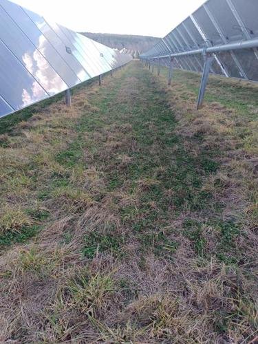 Local sheep farmer and Energix form solar project partnership