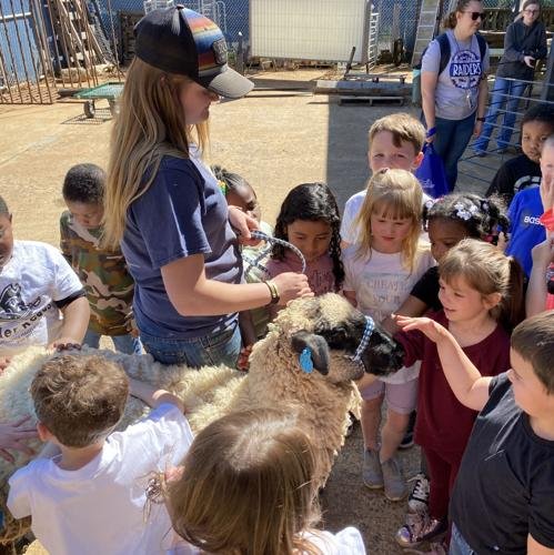Kindergarten classes take tour of ACHS programs