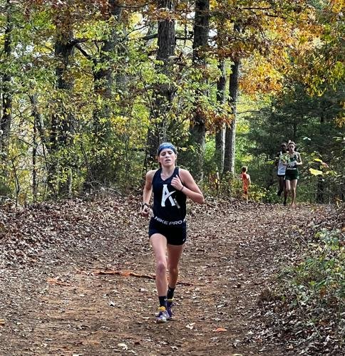 Martin, Hamilton lead ACHS in cross country district race; regionals are today in Salem