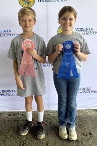 4-H members excel at AgriScience Poster contest, McCann named state junior champ