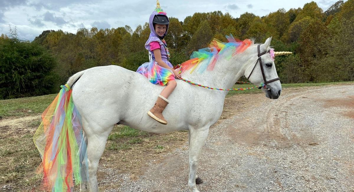 Fall season and Halloween pictures in Appomattox County