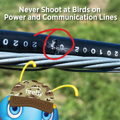 Dove shooting damages broadband fiber lines in Appomattox and other counties