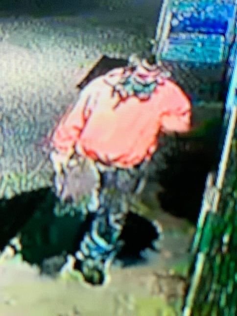 Identification sought (photo 2)